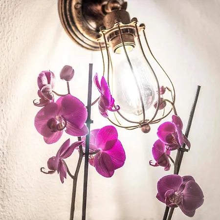 Apartament Stranamore Trastevere